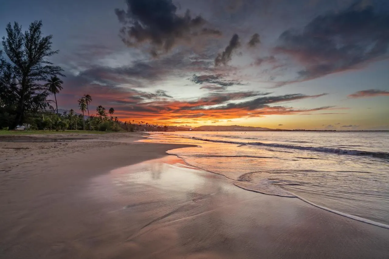 Olas Del Mar Beach Apartment Luquillo 0*,  Puerto Rico