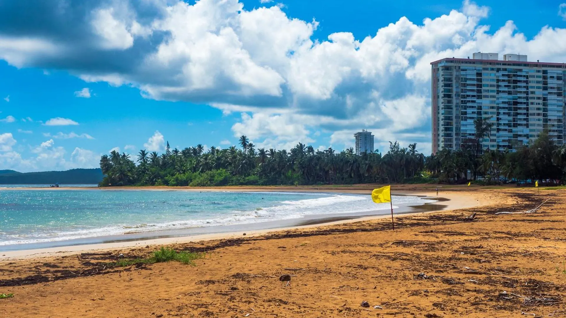 Olas Del Mar Beach Apartment Luquillo